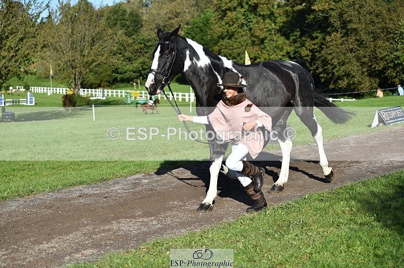 231022-104124-22669 - 438-KILCORBAN.MY.FAIR.LADY-Natasha.Crapper-TrotUp+SJ