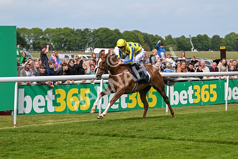 240525-Race 4-My Harrison George-1221 - Race 4