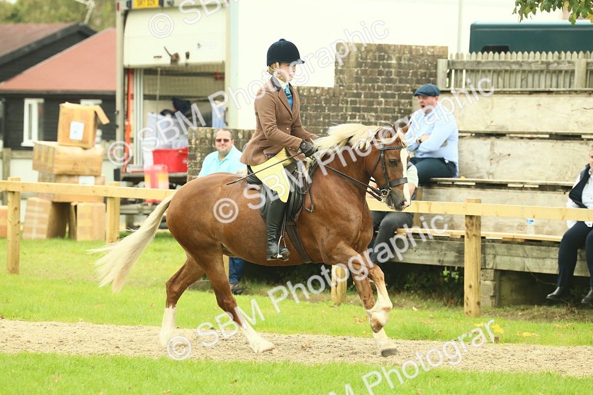 SBM_72076 - S60 - Mountain & Moorland Ridden Large Breeds