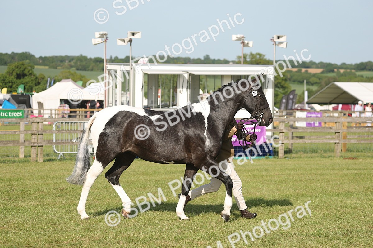 SBM_10476 - Class 33-38 - SSADL RIHS Qualifiers