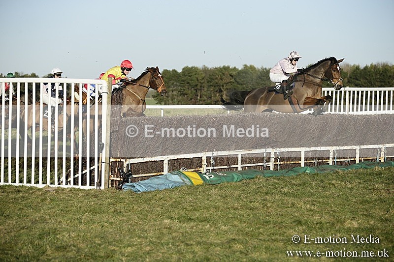 PtP 070118 -560 - Larkhill Racing Club Point to Point Larkhill 07/01/2018