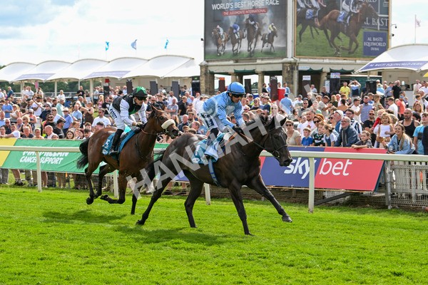 140625-Race 5-Egoli-3092 - Race 5 4.10pm Reg Griffin Appreciation EBFstallions.com Maiden Stakes