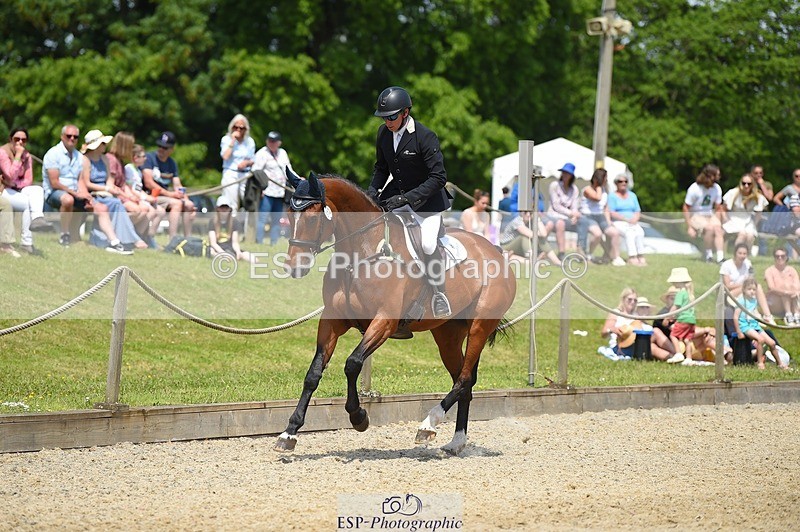 230528-121520-15609 - 312-J'ADORE_SALSA-Michael_Owen-SUNTrotUp+SJ