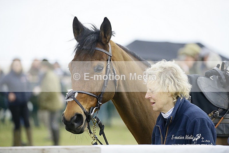 PtP 300122 430 - South Dorset Hunt - Point-to-Point Races 30/01/2022