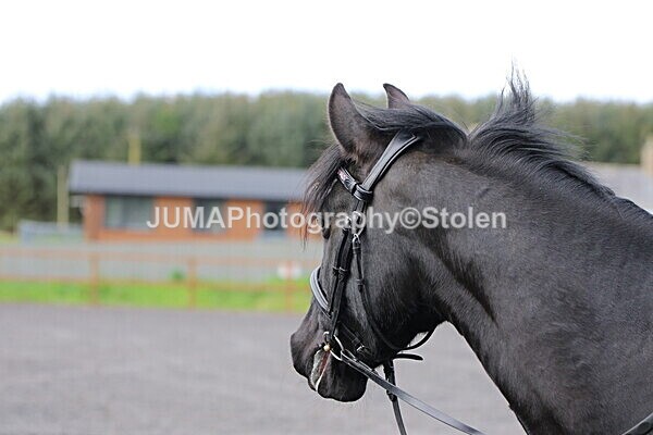 SIAL3527 - GDG saturday 3rd May