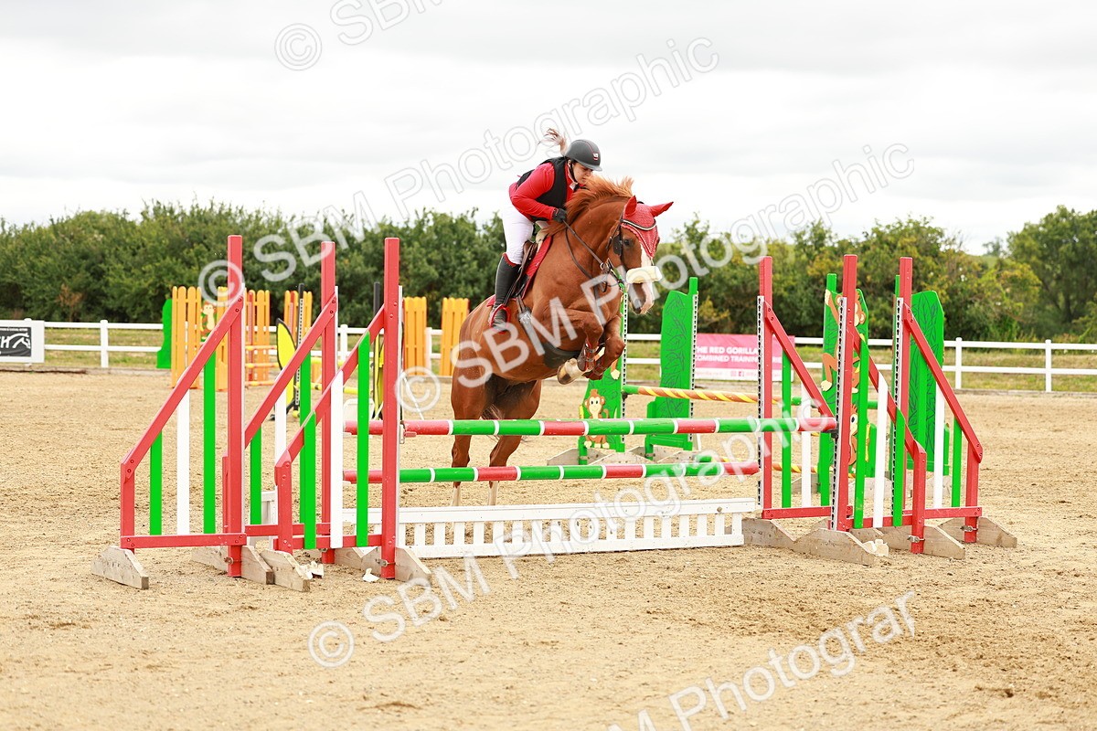 SBM_001922 - Class 9 - Senior British Novice - 90cm