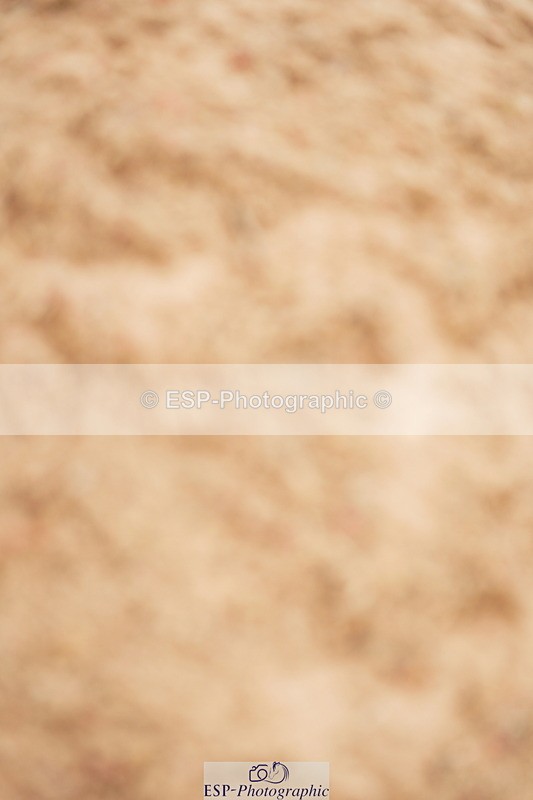 240524A-122258-03478 - Cls 15 Foxhunter