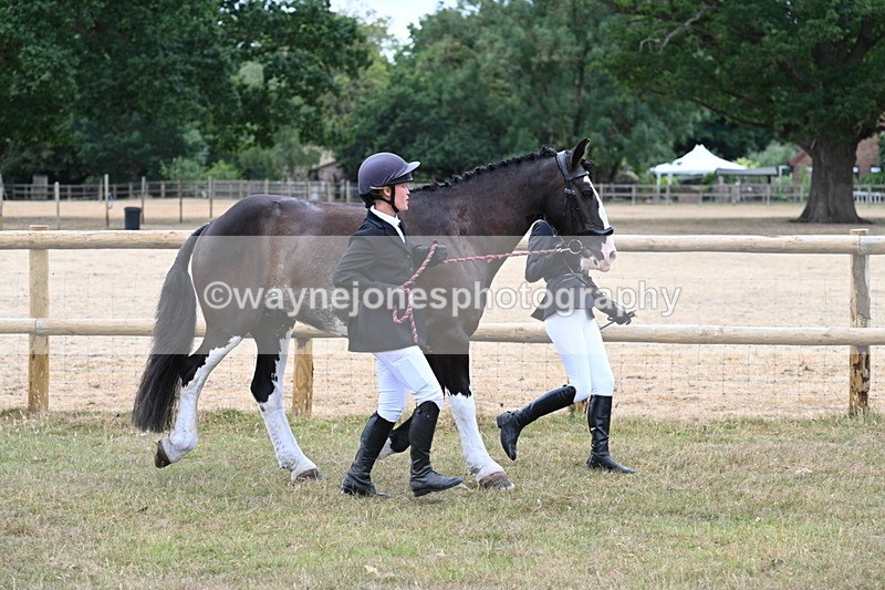 WJ7_8938 - Class 4a Prettiest Mare 14.2hh and over