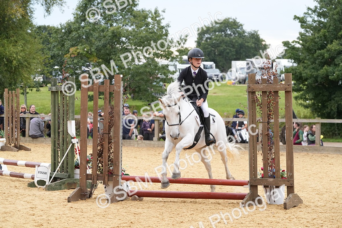 SBM_71750 - J3 - Mini Tour Junior Pony 40cm Championship
