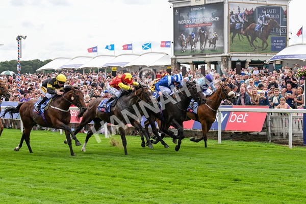 260725-Race 2-Elmonjed-0331 - Race 2 2.00pm Sky Bet Dash Handicap