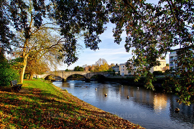 Autumn Totnes 3 - Devon Misc