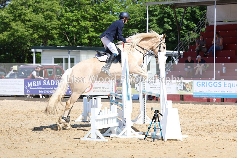 3E7A5457 - Class 4: Senior BN/90cm open