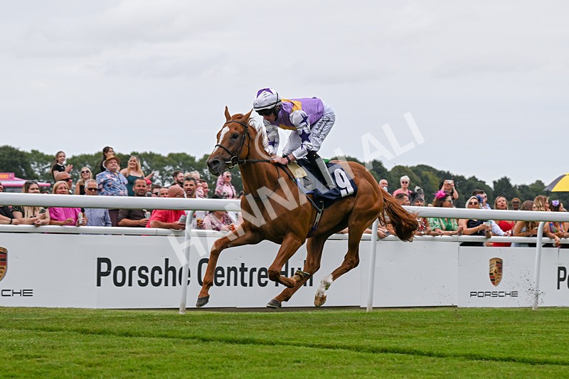 140824-Race 2-Stanhope Gardens-6057 - Race 2