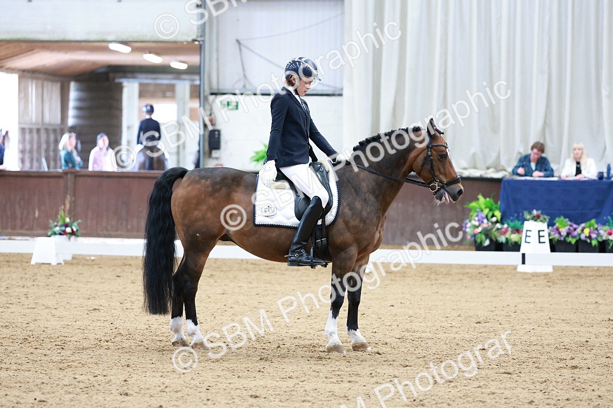 SBM_017128 - Class15 - FEI Pony