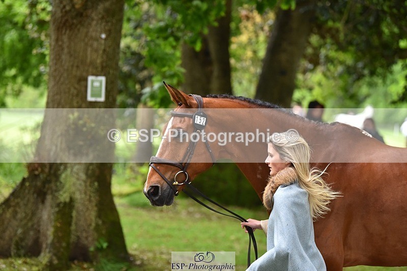 240522-160502-00698 - 152-MODRIX_DOR_VAN_DE_MISPELAERE-Annabel_Walsh