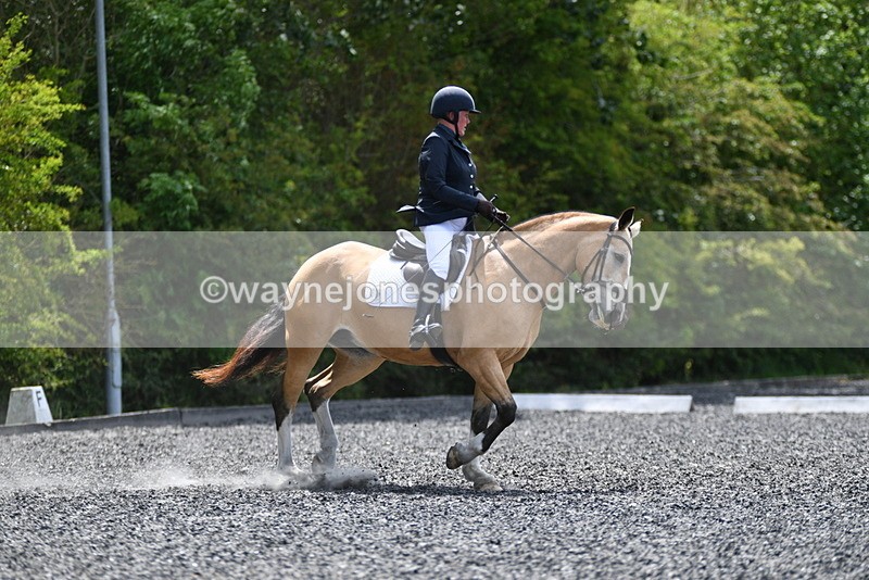 WJ5_0558 - Time 12:24 to 13:01