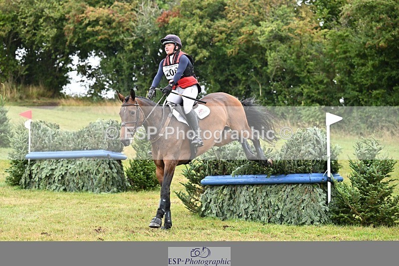 TS_b2409728 - SAT BE 90 Recovered Files fence 8