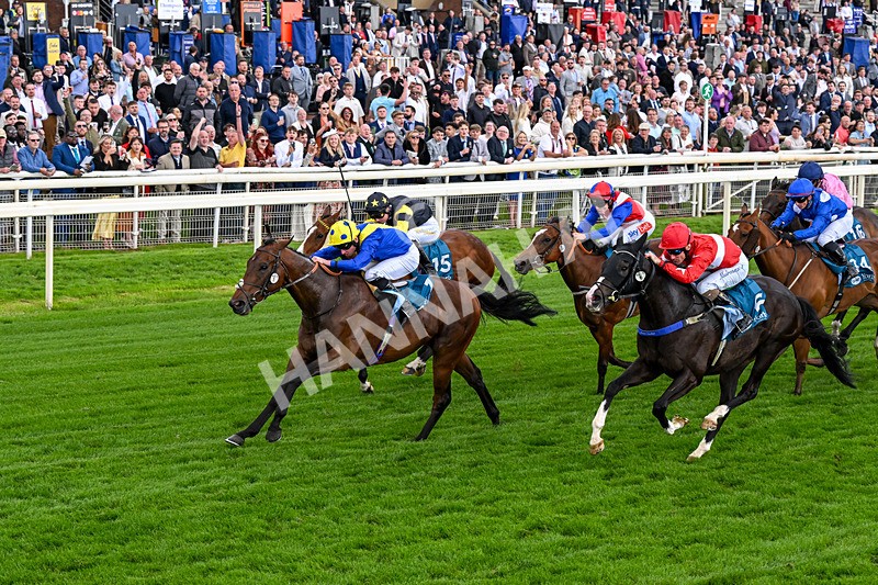 130626-Race 6-Point Of Contact-0643 - Race 6 16.50pm Ice Co Supporting Macmillan Handicap