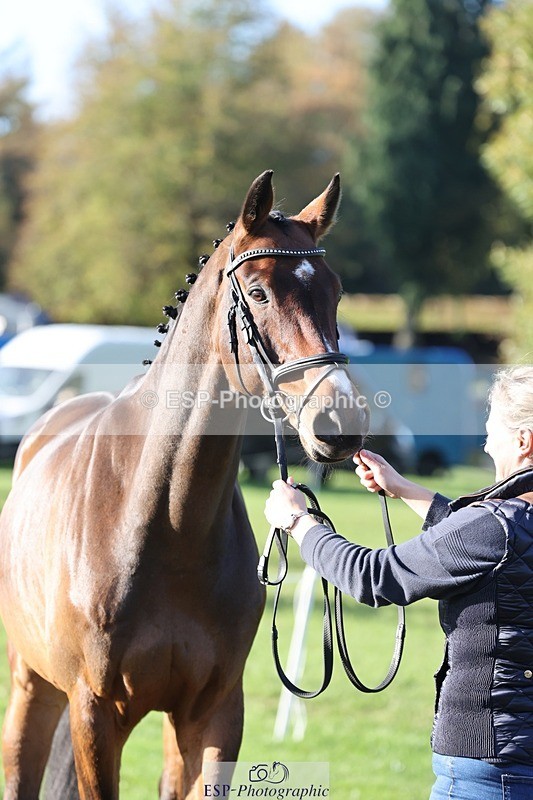 241027-094149-15451 - 413-Sophie.Westmore-CALCOURT.LEONARDO