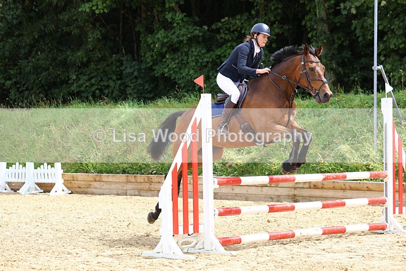 3E7A0077 - Class 9: Senior British Novice/90cm open