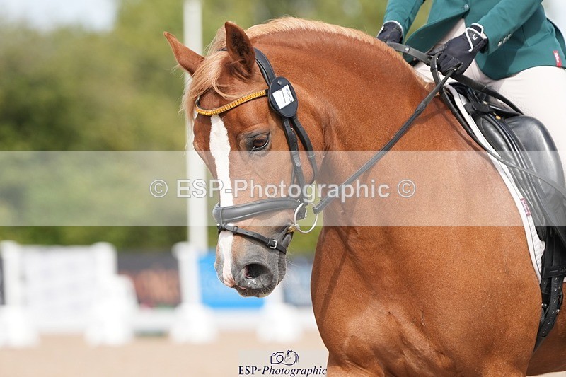 250906-121034-02260 - 078-Sarah.MillerPiper.V