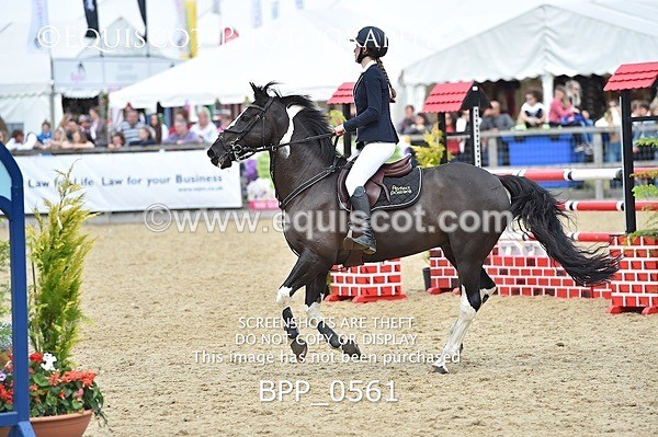 BPP_0561 - RHS 2019 Selection - *Just some random spectator shots so Lucky Dip if you are there!