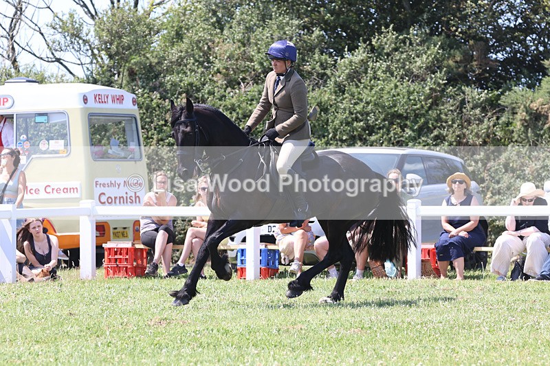 JPP_2805 - Class 21: Working Hunter 60cm