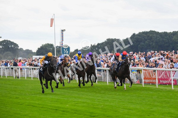 230823-Race 2-Indian Run-0323 - Race 2 2.25pm Tattersalls Acomb Stakes