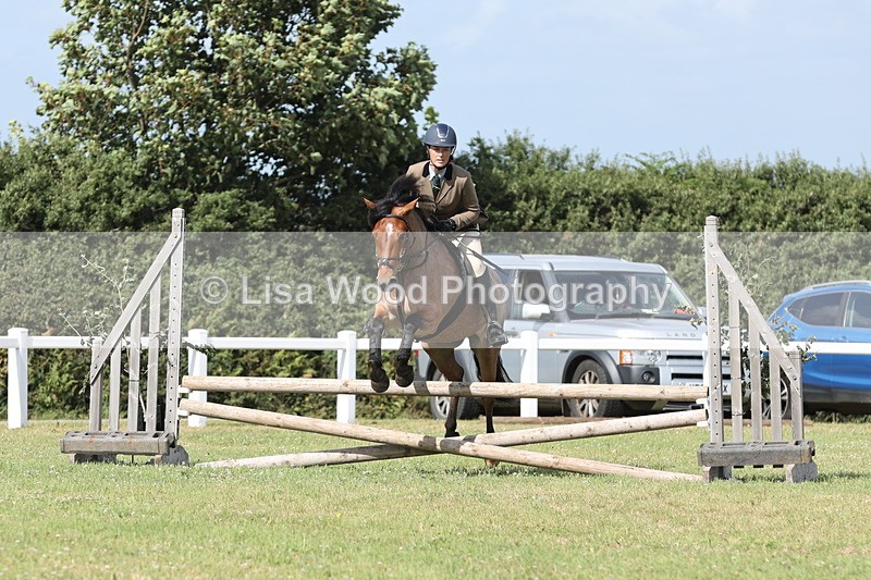 JPP_2645 - Class 20: Working Hunter 70cm