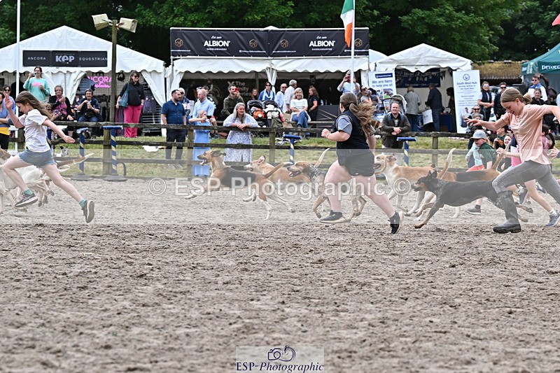 250524A-152737-12767 - East Devon Hounds