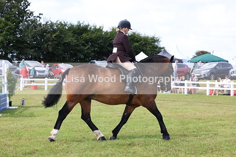 3E7A9873 - Class 5: Rising Star Lightweight/Heavyweight Cobs