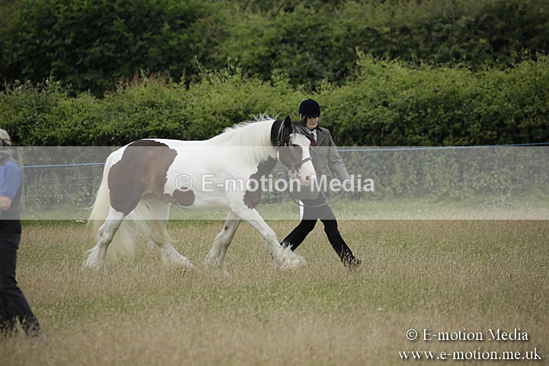 B230619-0072 - Bourne Valley Riding Club Summer Show 23/06/19