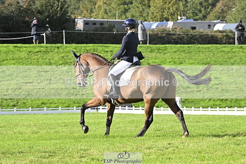 251023A-150937-04531 - E-386-Zara.Head