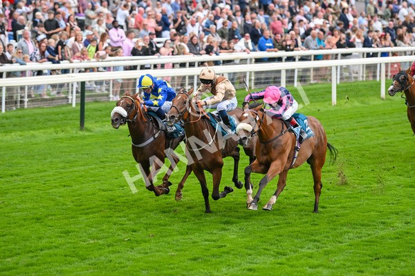 080925-Race 3-Rock N Roll Pinkie-7524 - Race 3 3.30pm Skybet Proud To Support ROR Stayers Handicap