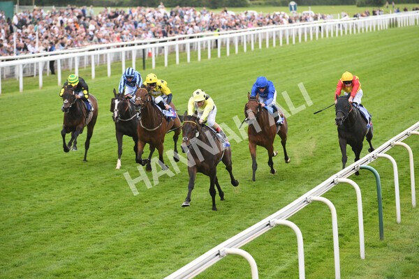 yr11062022r4-11 - Race 4 3.05pm Sky Bet Grand Cup