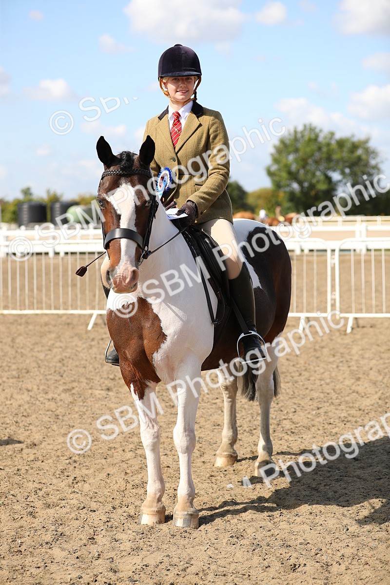 SBM_03275 - Class 44 Riding Club Horse/ Pony