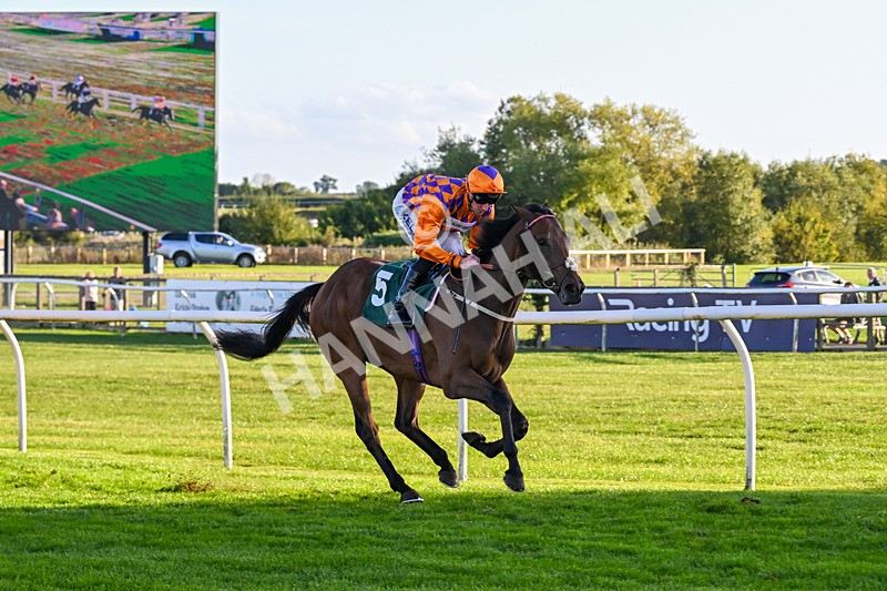 300926-Race 7-Prince Of Calypso-7072 - Race 7 5.25pm Amstel Gallop Handicap