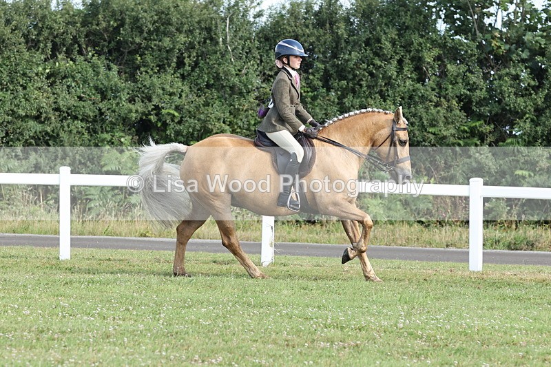 JPP_0705 - Class 16: Cornish Combination Young Rider