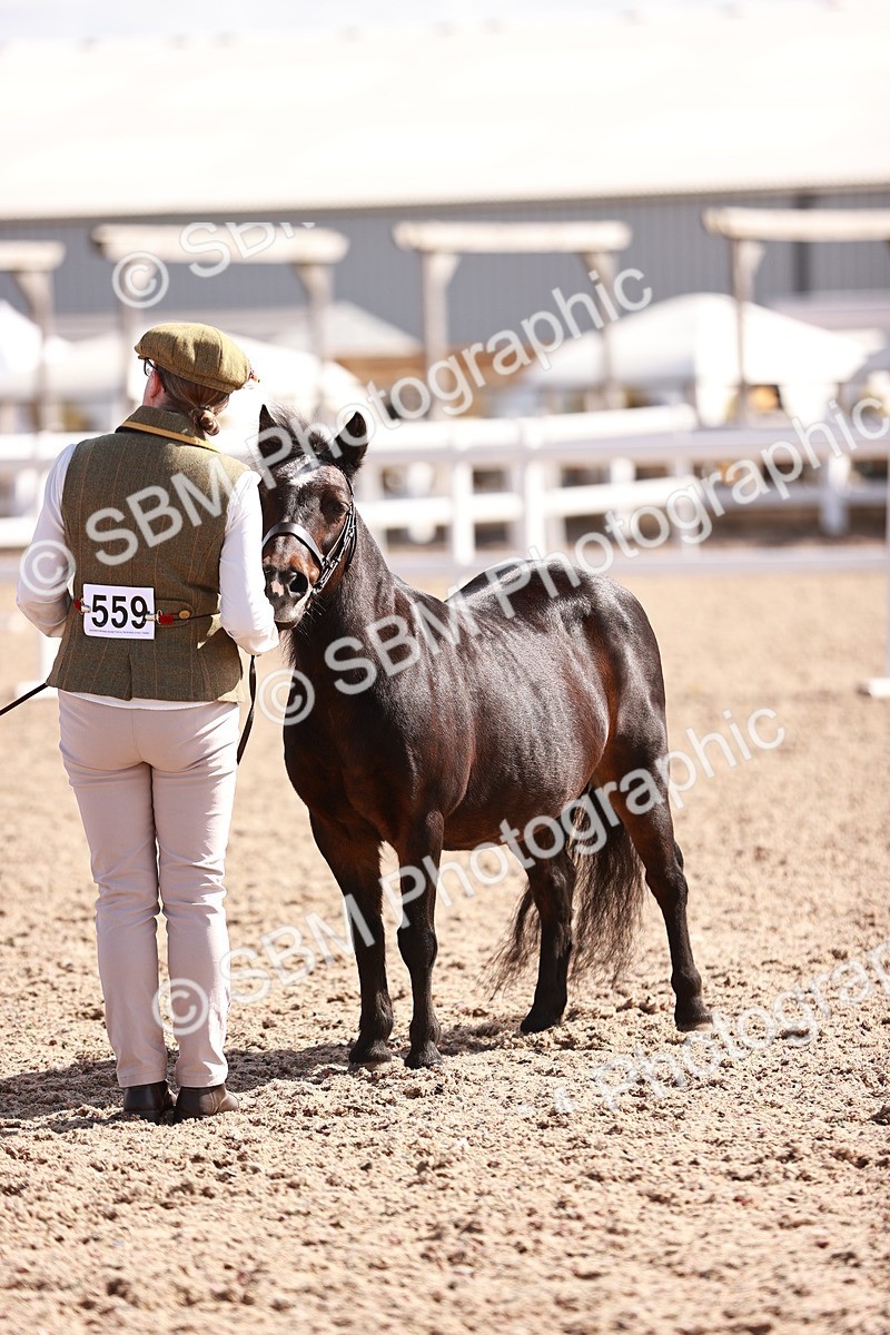 SBM_22992 - Class 707 - IH groom Helpers Class