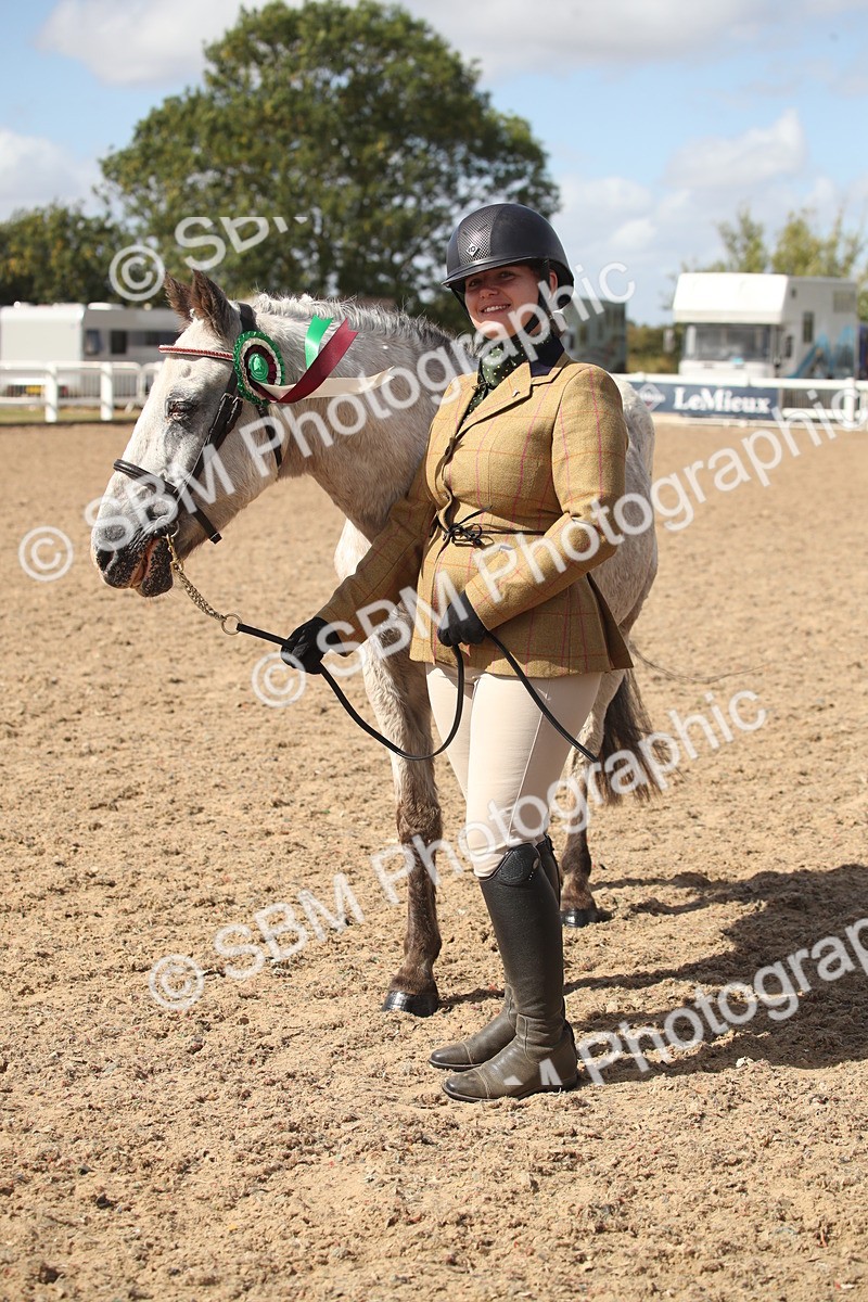 SBM_23491 - Class 604 - 2026 - Area IH Diamond