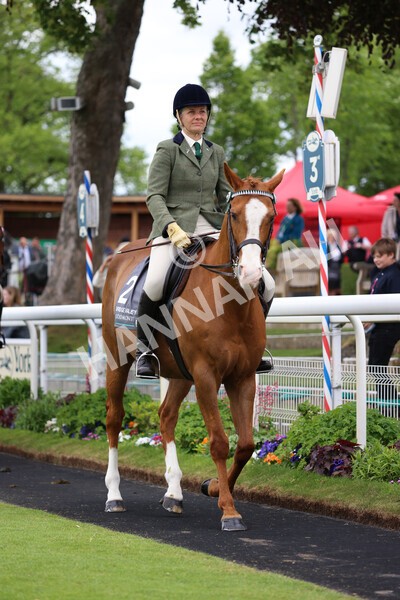 yr22052022r8e-79 - ROR - Parade Ring York