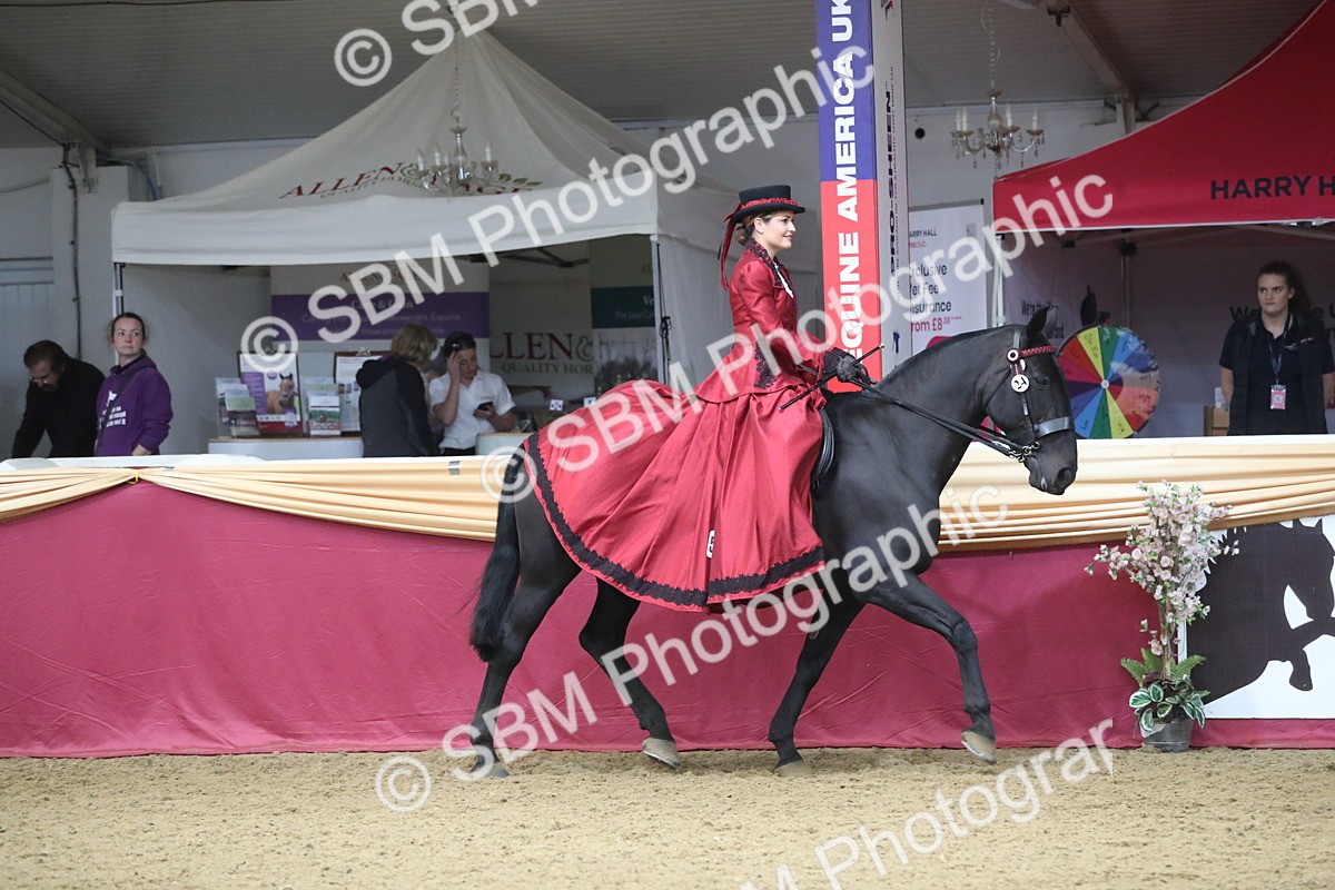 SBM_12121 - Class 107 Ridden Costume- Astride Adult (20+)