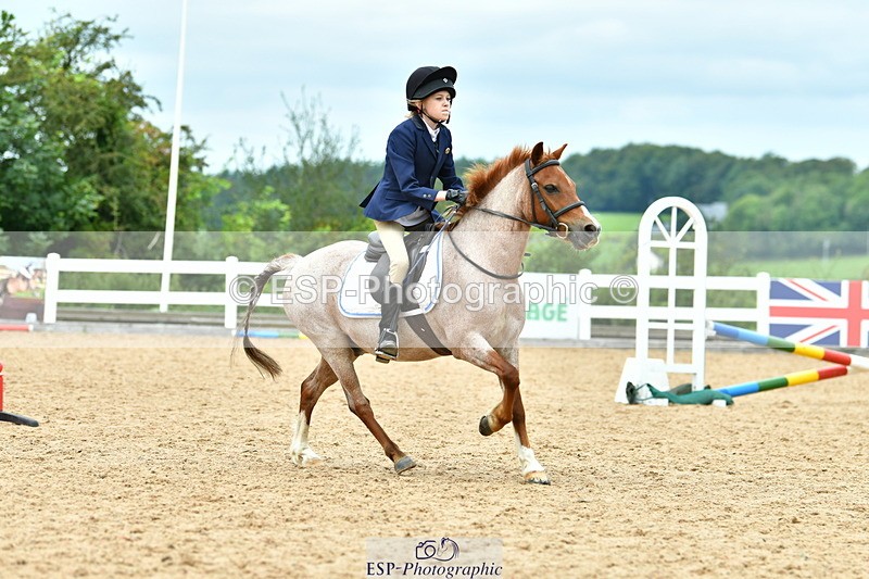 230804A-120151-02434 - Showjumping Competition