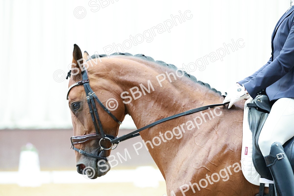 SBM_005817 - Class 3 - Medium 6 - 14.40-15.52