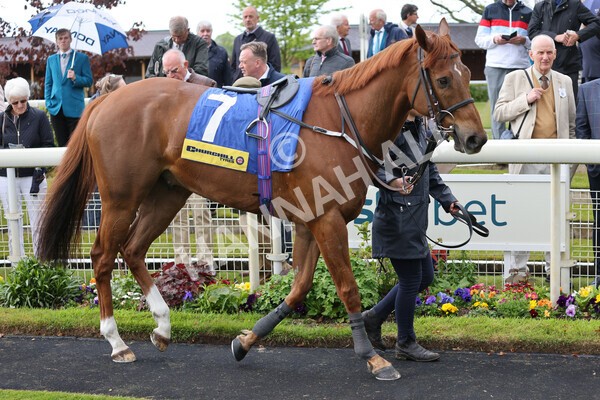 yr11052022r2-1 - Race 2 2.25pm Churchill Tyres Stakes