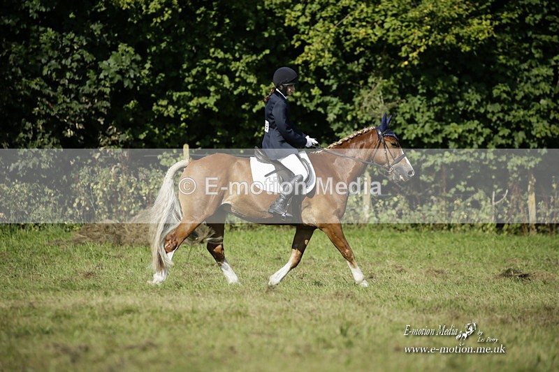 BVRC 120921 201 - Bourne Valley Riding Club UA Dressage & Show Jumping 12/09/21
