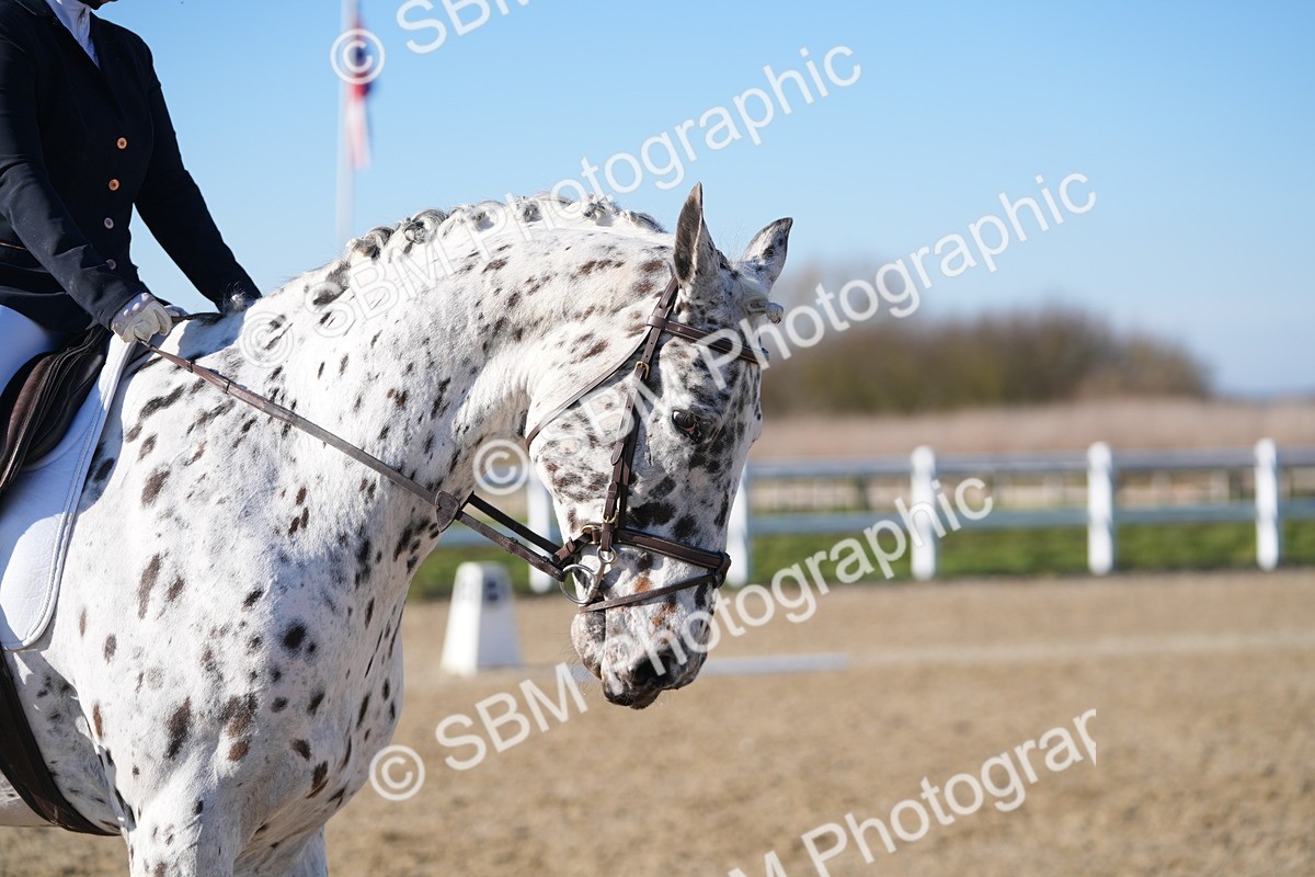 SBM_004257 - Class 3 - P2-80cm - E1