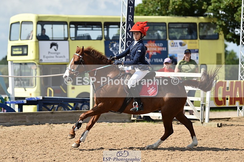 230902A-135052-01505 - Cls 3B Pony Medium 90cm