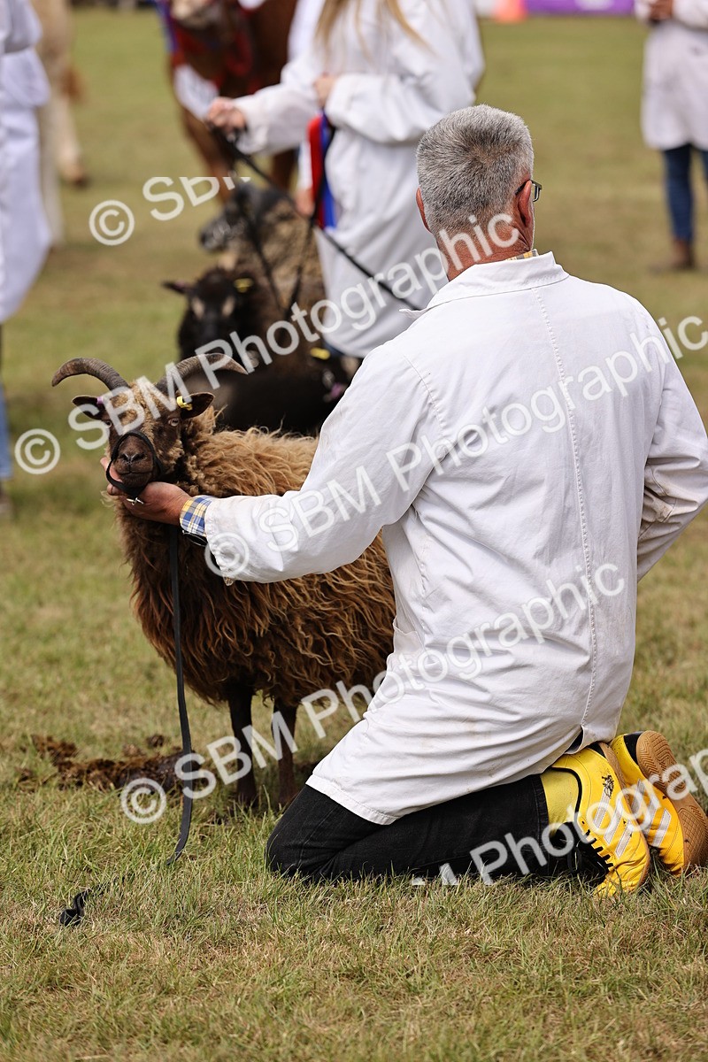 SBM_16913 - Grand Parade