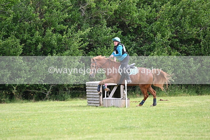 WJ6_2228 - Class 2 40cm